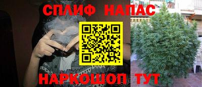 трава Новозыбков