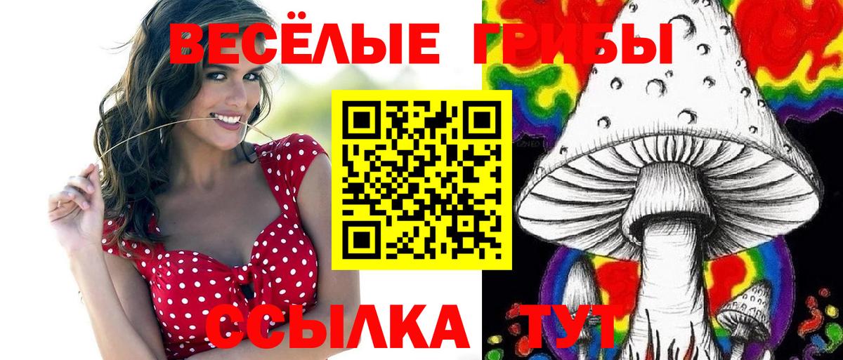Галлюциногенные грибы прущие грибы  Вход с VPN  Тосно 